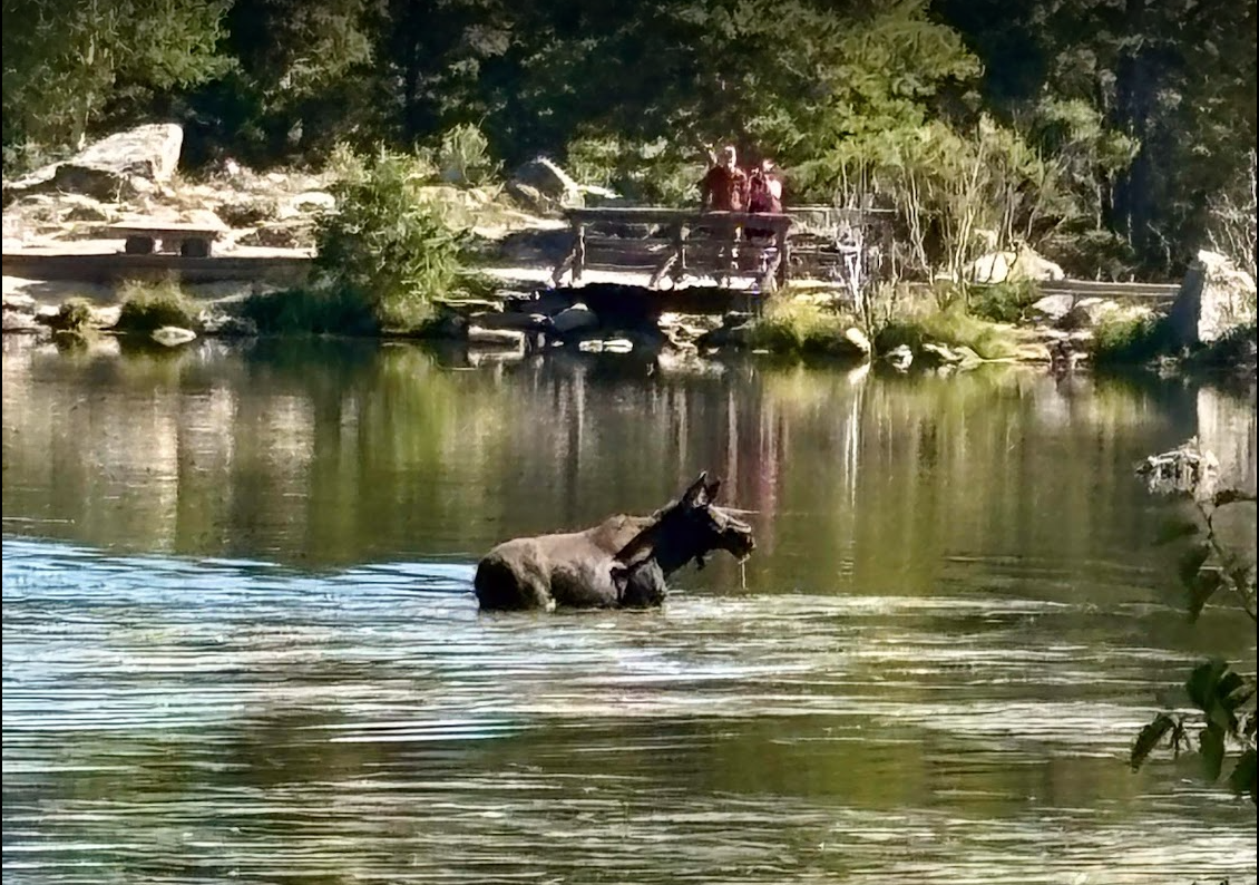 Sprague Lake, Bear Lake Corridor, Rocky Mountain National Park